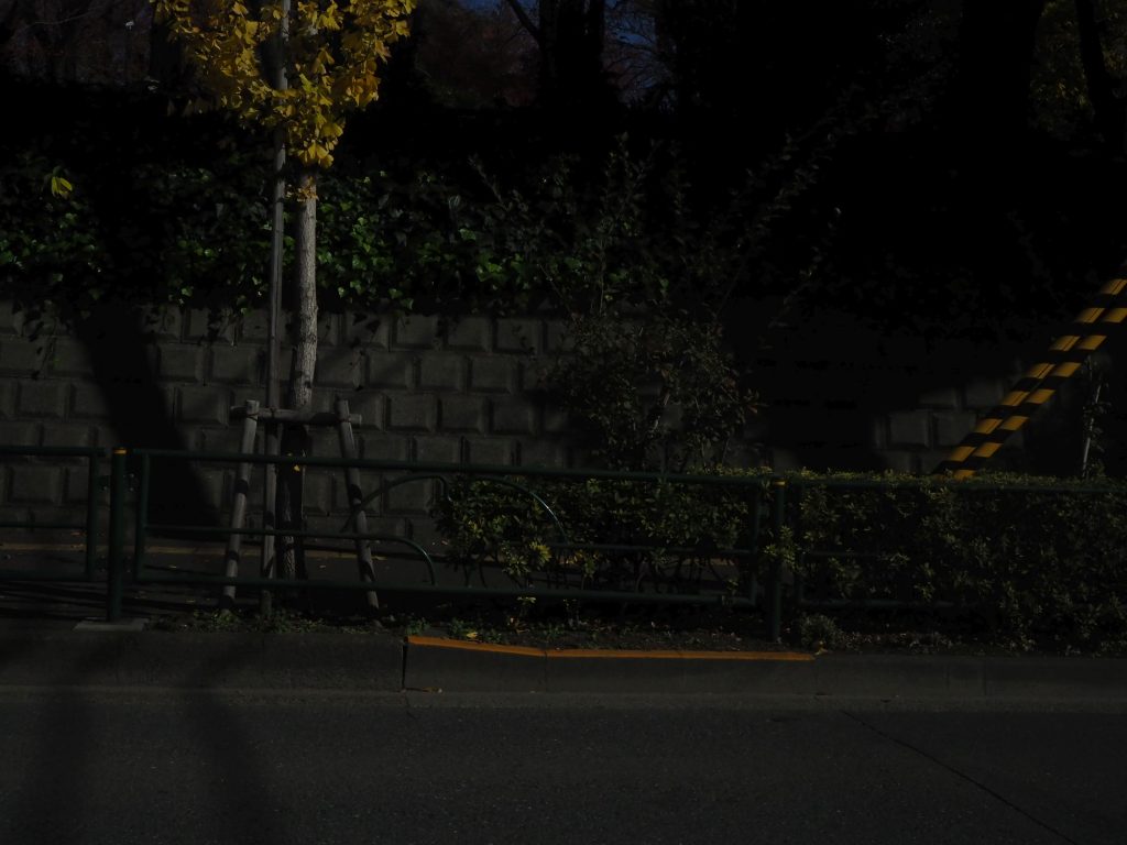 暗がり歩道の写真